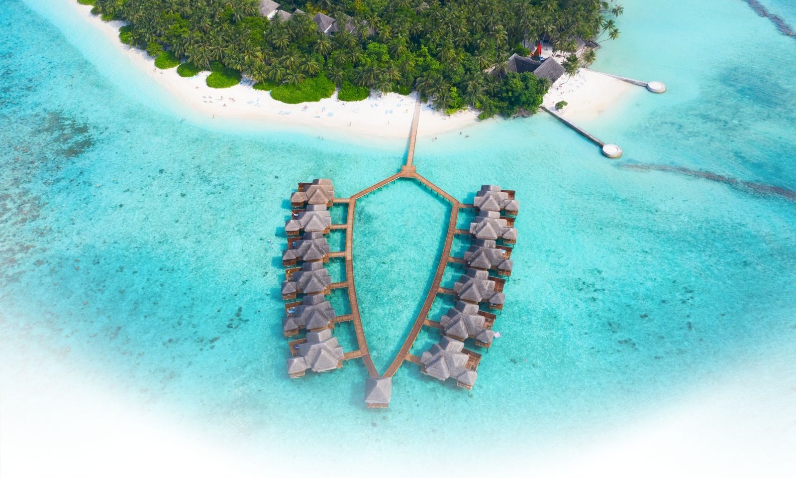 Skyline Travel Tour Banner 2