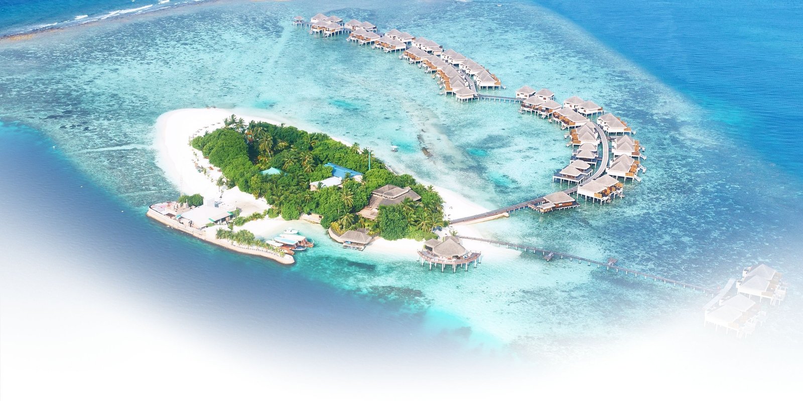 Skyline Travel Tour Banner 3